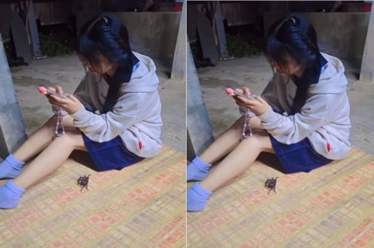 Gatinha jovem mamando na pica Grossa